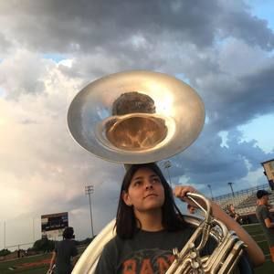 Meet your Posher, Audrey